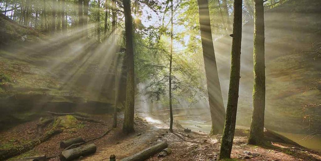 Hiking Attractions in Hocking Hills