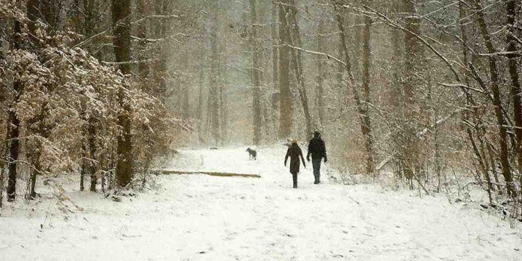 winter hike